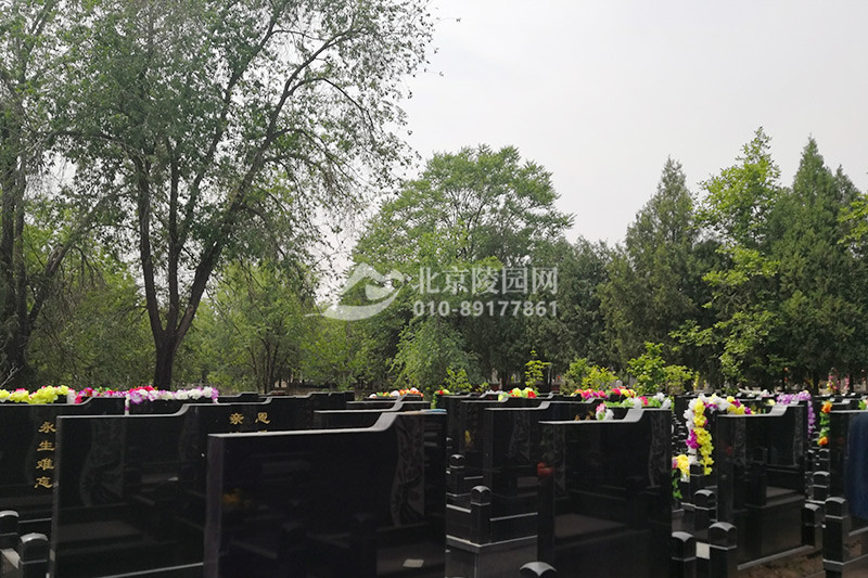 华夏陵园墓区碑型