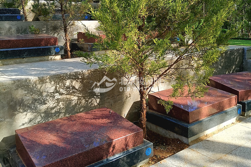北京景仰园陵园树葬实拍