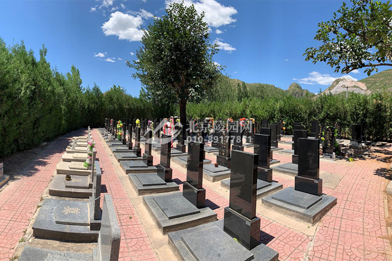 皇家龙山陵园标准墓区