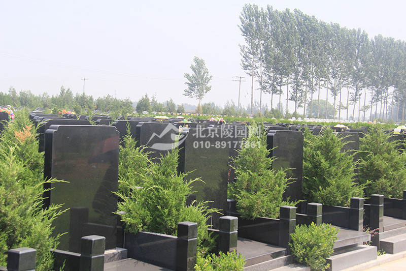 卧龙公墓墓区绿化