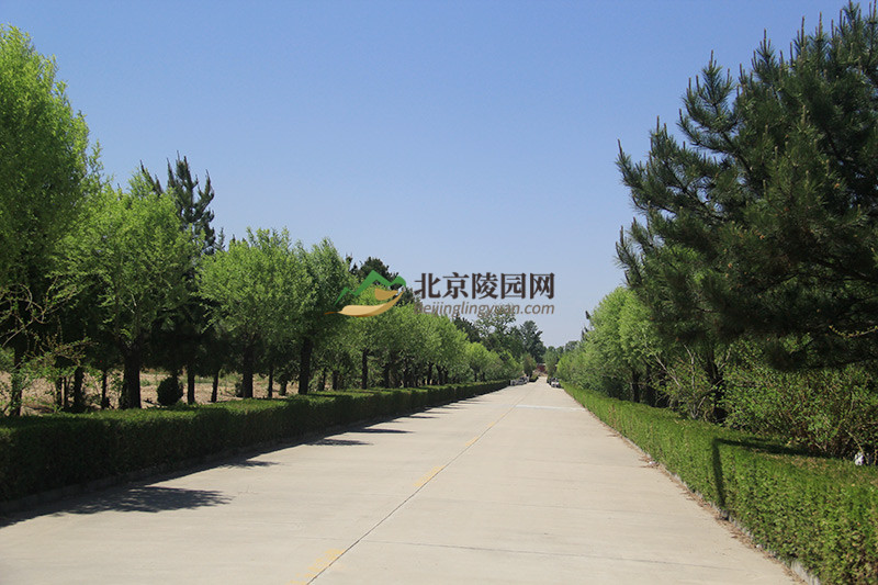 中华永久陵园园区绿化