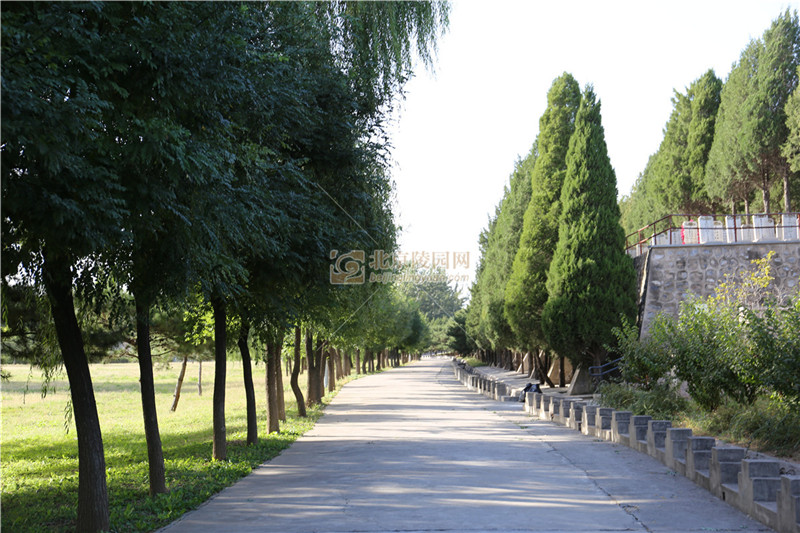 太子峪陵园景观绿化