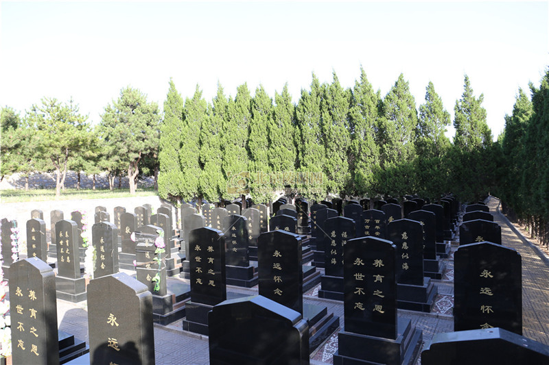太子峪陵园墓区景观
