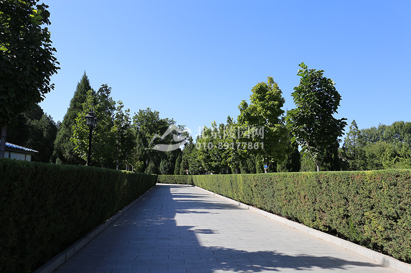 万安公墓绿化景观