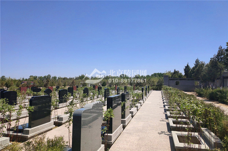中华永久陵园墓区实拍