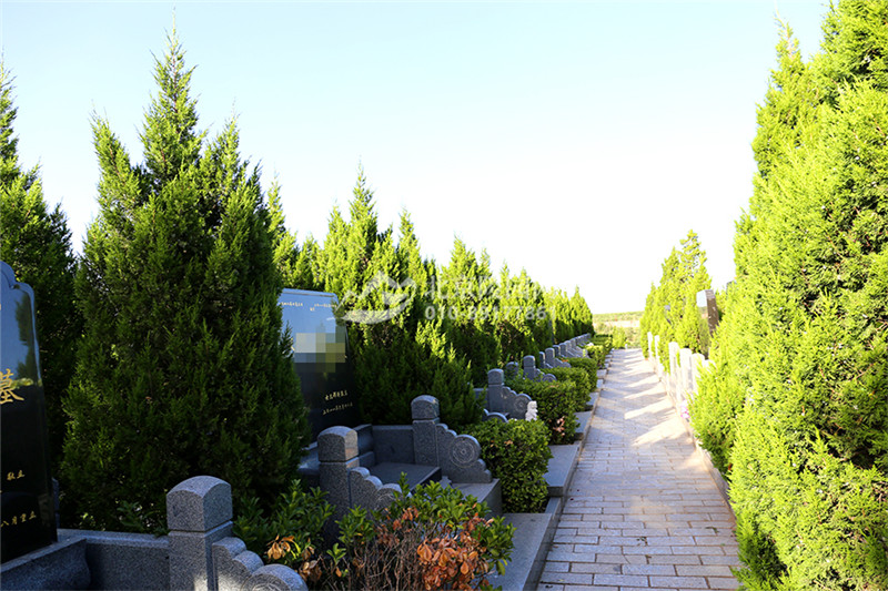 太子峪陵园墓区绿化
