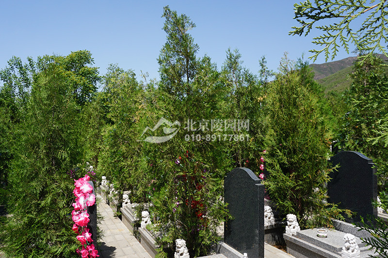 华夏陵园墓区绿化