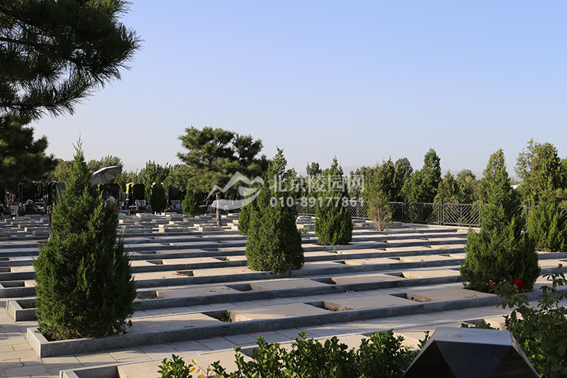 太子峪陵园在建墓区