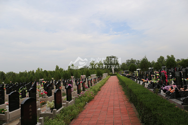 中华永久陵园墓区实拍