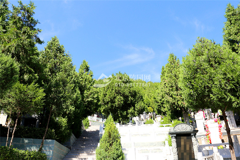 九里山公墓二区园区绿化