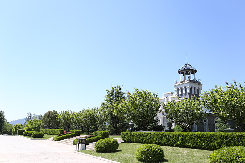 天寿陵园绿化 天寿陵园绿化