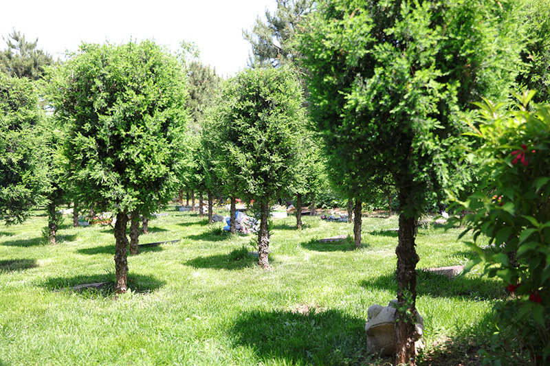 如意园树葬 如意园树葬