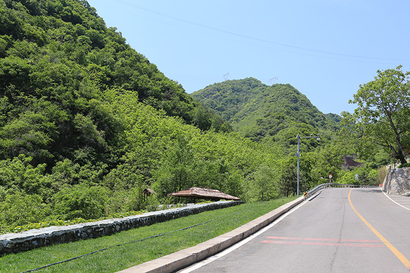 园区道路 园区道路