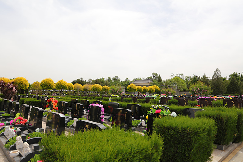 海棠苑立碑 海棠苑立碑