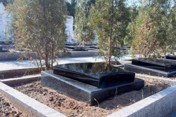 中华园树葬02 中华园树葬02