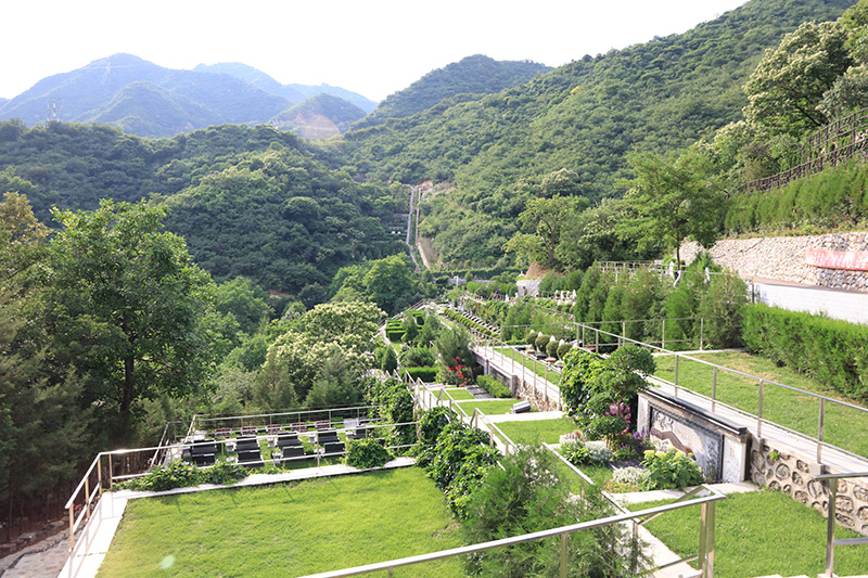 陵园墓区实拍 陵园墓区实拍