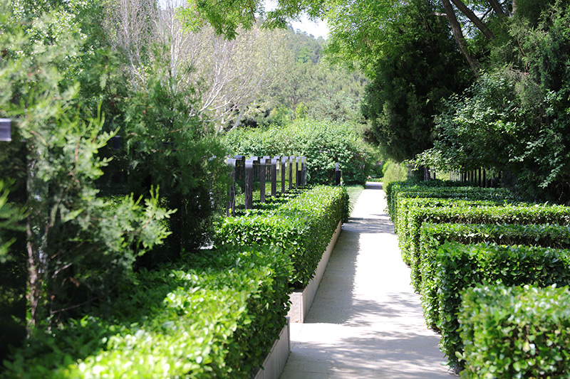 陵园环境 陵园环境