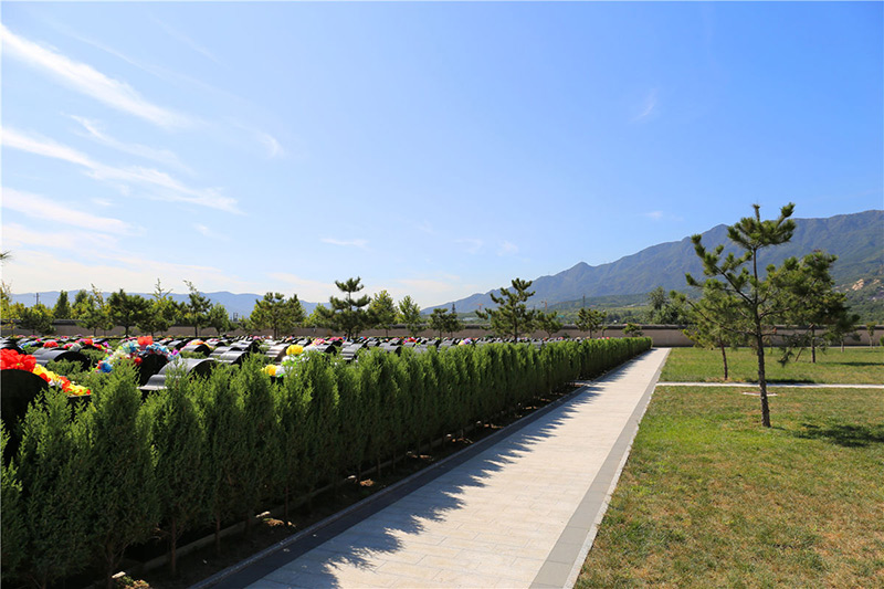 墓区实拍 墓区实拍