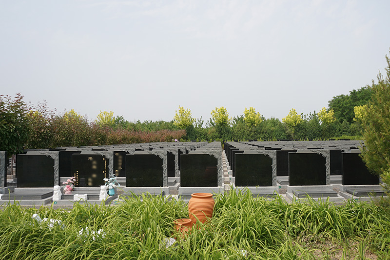 墓区实拍 墓区实拍