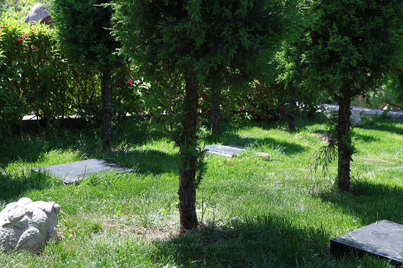 陵园树葬碑型 陵园树葬碑型