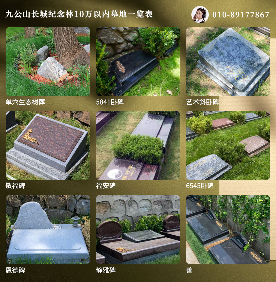 九公山10万以内墓型图 九公山10万以内墓型图