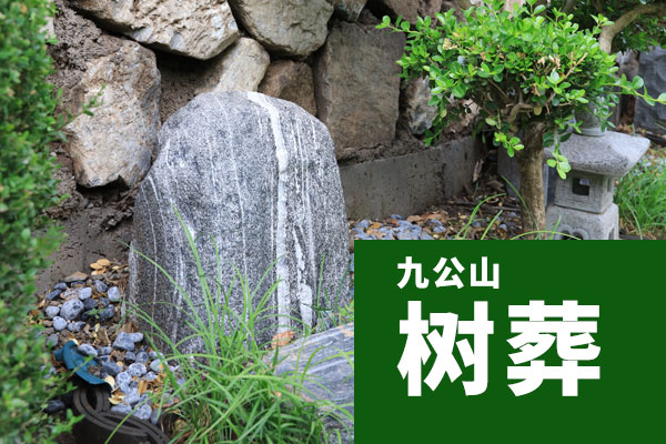 北京树葬陵园看怀柔,怀柔树葬看九公山——长城脚下的生命绿洲