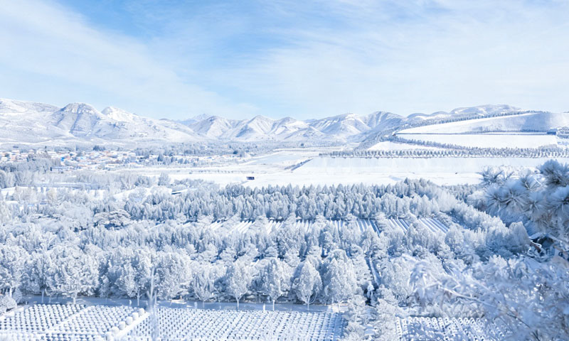 灵山宝塔陵园冬季-气势磅礴的墓区环境 灵山宝塔陵园冬季-气势磅礴的墓区环境