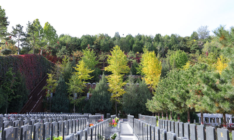 灵山宝塔陵园众多墓区之一实景拍摄 灵山宝塔陵园众多墓区之一实景拍摄