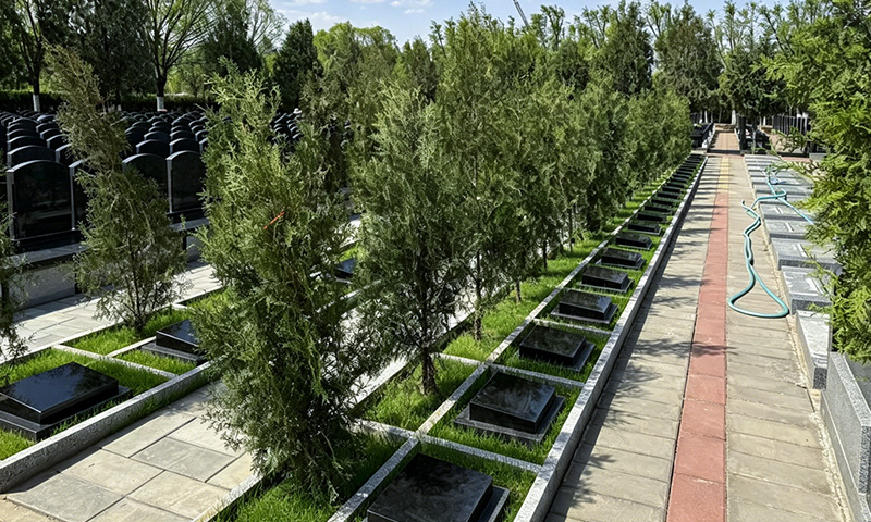 中华永久陵园一树一碑的树葬 中华永久陵园一树一碑的树葬