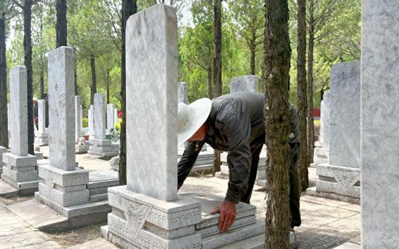 墓位检查 墓位检查
