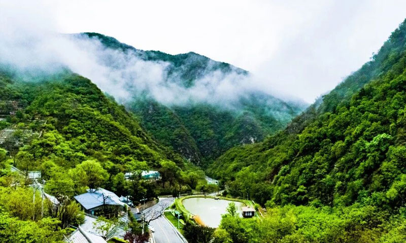 九公山长城纪念林 九公山长城纪念林