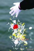 深圳举行第28次免费海葬活动 48盒骨灰撒向大海