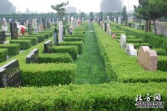 永安公墓播报：园区换“新绿” 环境更舒适美丽