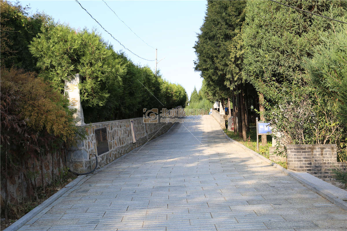 宝云岭墓园墓地图片大全