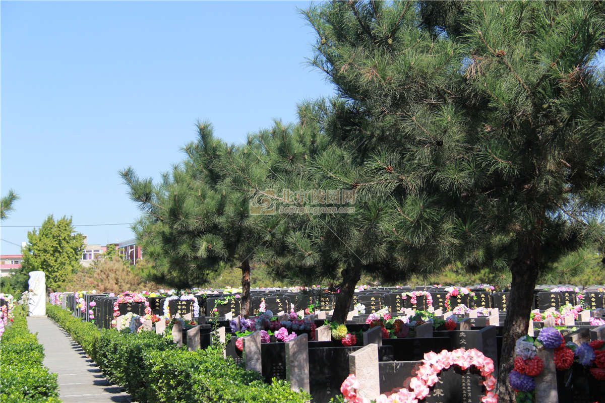 北京市朝阳陵园-朝阳墓地_北京陵园网