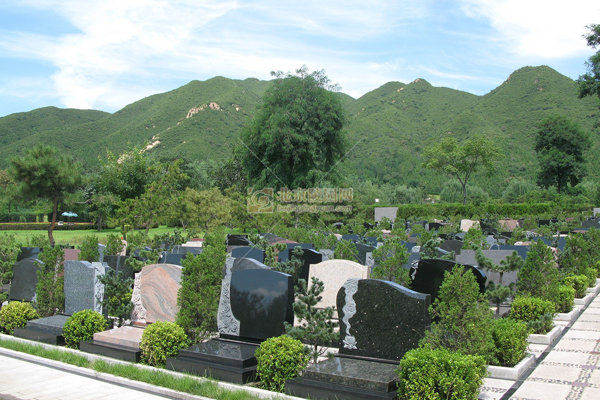 天寿陵园树葬景观