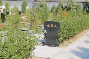福荣苑墓区景观