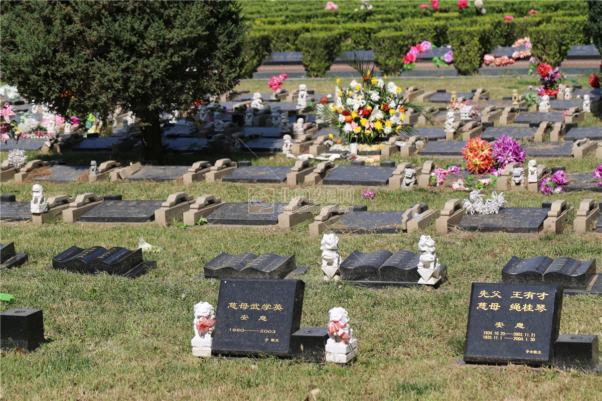 长青园陵园墓地图片大全