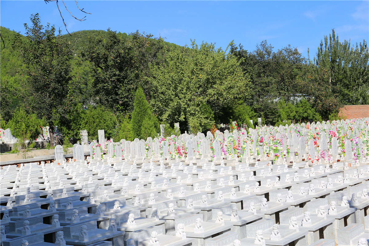 炎黄陵园之墓区全景-北京公墓网