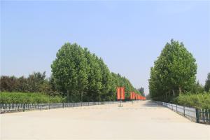 革命烈士公墓墓区景观