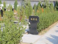 北京市永福公墓实拍景观