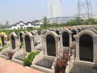 卧龙公墓实拍景观