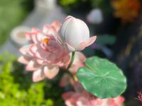 灵山宝塔陵园环境随拍