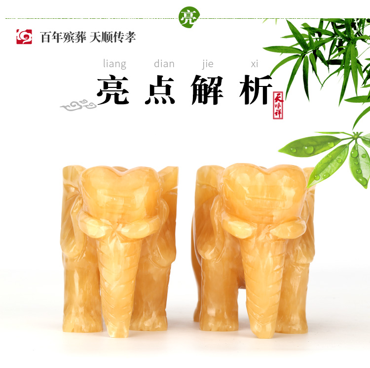 亮点解析