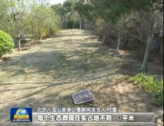 央视报导北京生态安葬