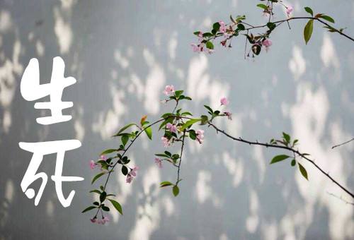 生死