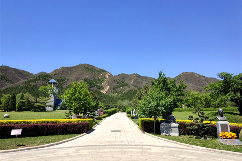 天寿陵园墓区环境