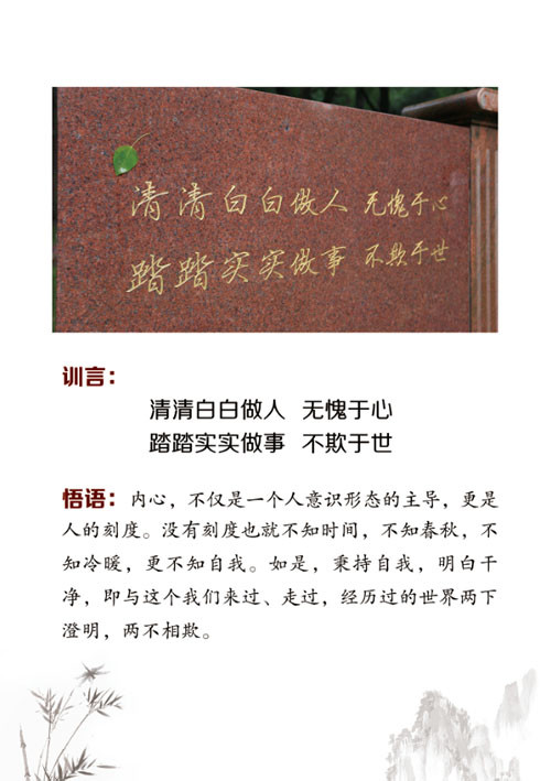清清白白做人