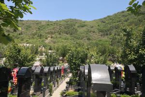 墓区绿化景观
