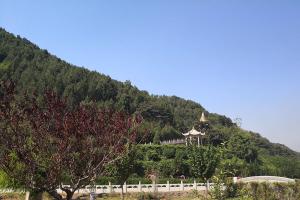 公墓周边景观